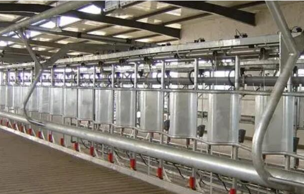 城东钢结构 vs 传统结构：一场关于强度与速度的全面胜出！